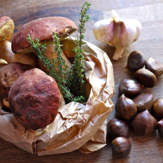 https://www.lagastronomiadiavigno.com/wp-content/uploads/2019/09/Crema-di-funghi-porcini-e-castagne-grazia-640x640.jpg