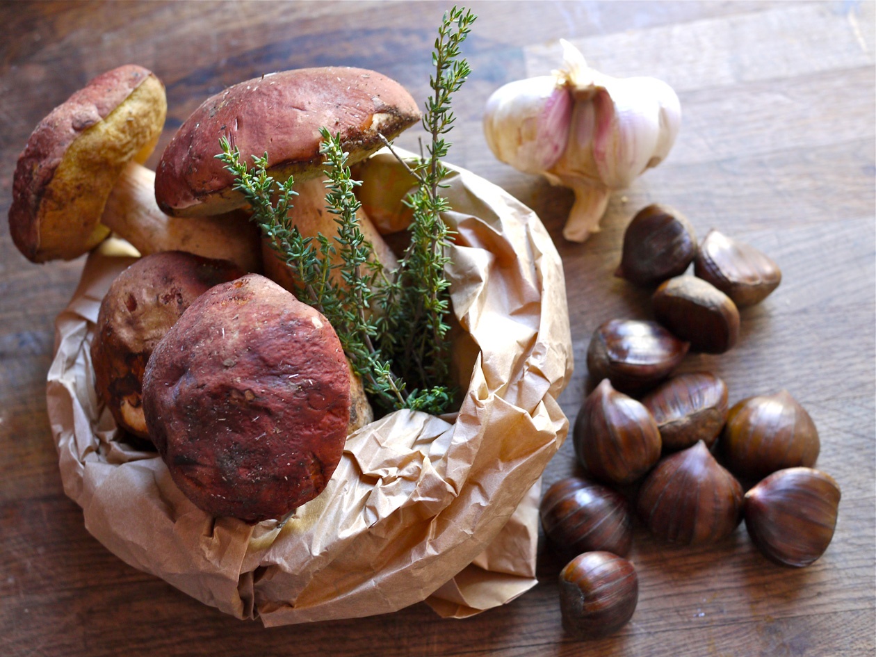 https://www.lagastronomiadiavigno.com/wp-content/uploads/2019/09/Crema-di-funghi-porcini-e-castagne-grazia.jpg