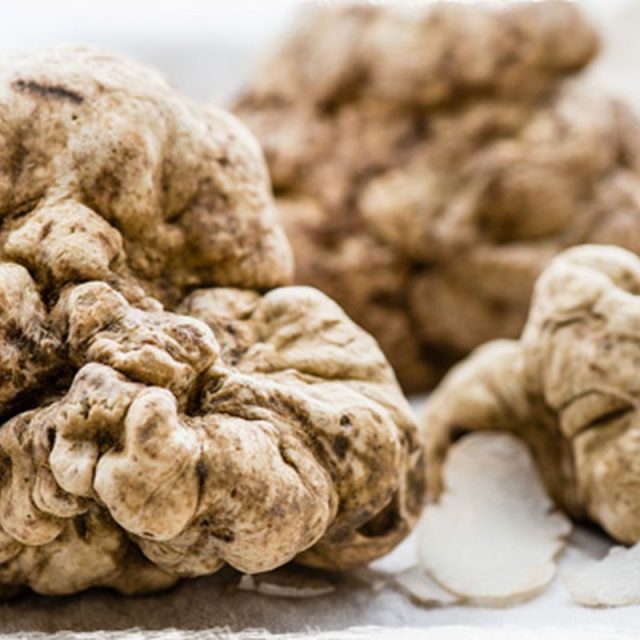 https://www.lagastronomiadiavigno.com/wp-content/uploads/2019/10/maudetruffle.0-640x640.jpg