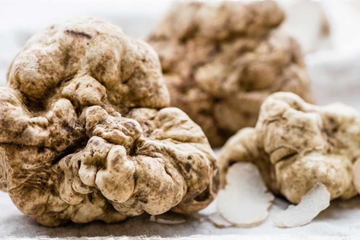 https://www.lagastronomiadiavigno.com/wp-content/uploads/2019/10/maudetruffle.0.jpg